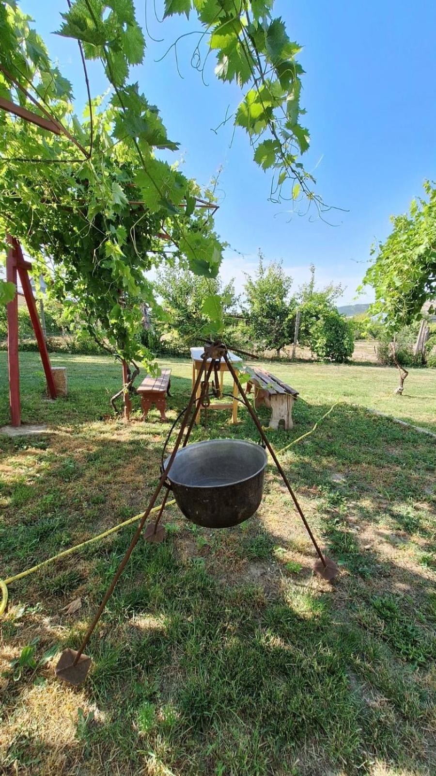 Вилла Casa Matetovici Greci Экстерьер фото